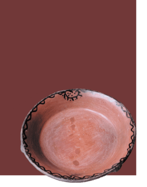 PLAT A PETRIR LA PATE